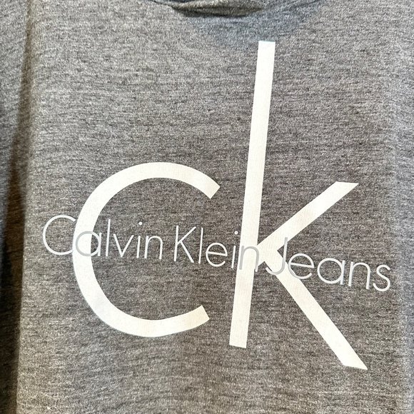 CK Calvin Klein Jeans Marled Gray Relax Fit Hoodie - Medium - Picture 5 of 9